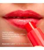ISDIN Reparador Labial Con Ácido Hialuronico 4g - Imagen 2
